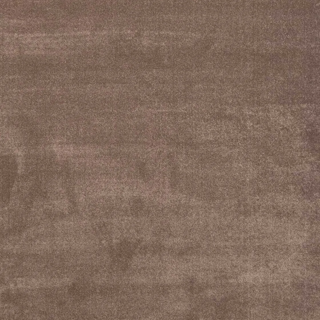 Alfombras Decorativas>Alfombra Ambiente Camel 200x285Cm