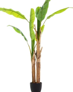 atmosphera Plantas Y Flores Artificiales|Estilo Étnico>Bananero Artif.Doble C/Maceta 130Cm