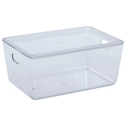 5five Caja Múltiple>Caja organizadora SELENA con tapa 4l