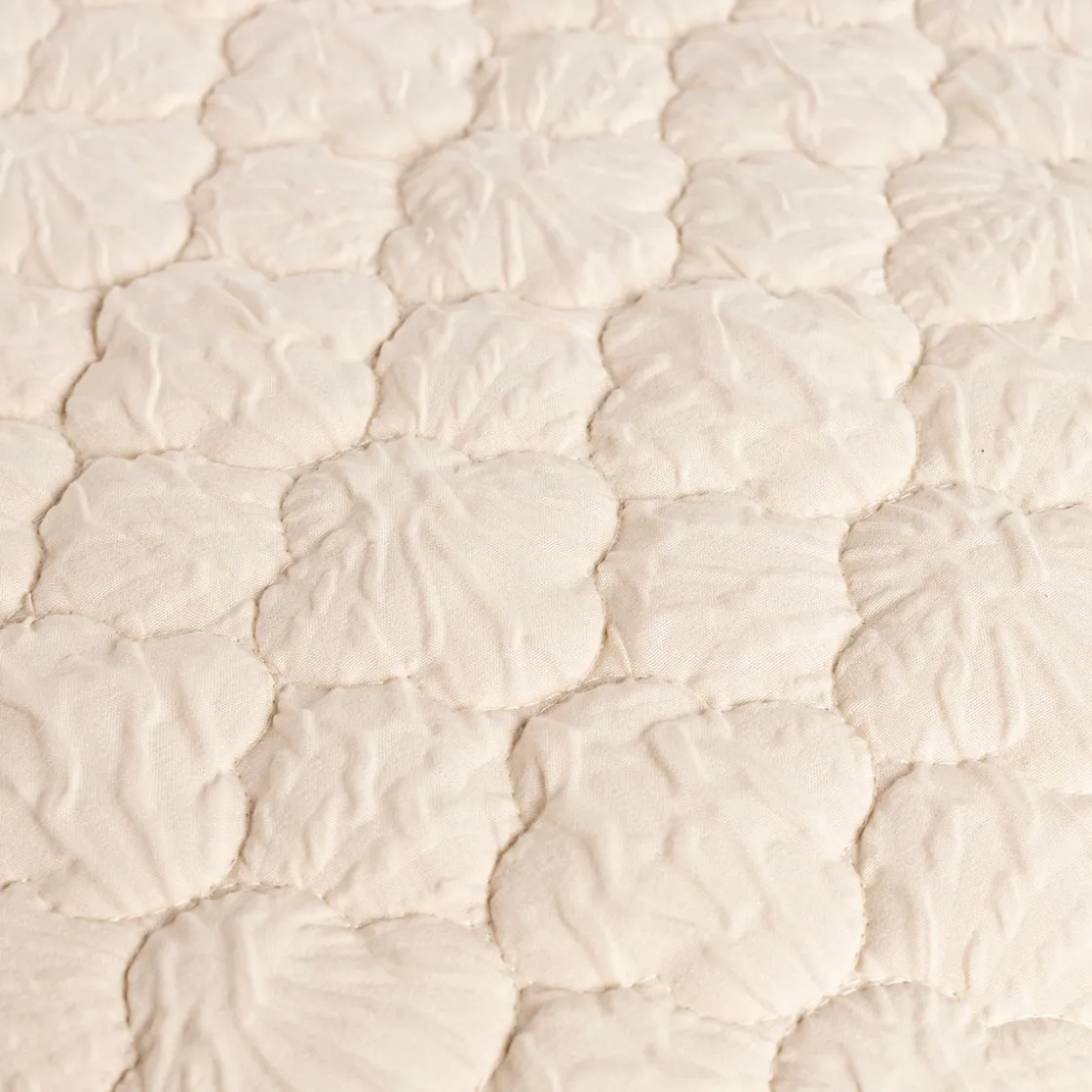 hôma Edredones Y Colchas>Edredón BELISSIMA beige 240x260cm
