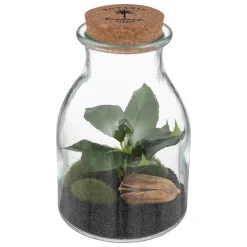 atmosphera Plantas Y Flores Artificiales|Estilo Étnico>Frasco De Vidrio C/Plantas Artif.12x19.5