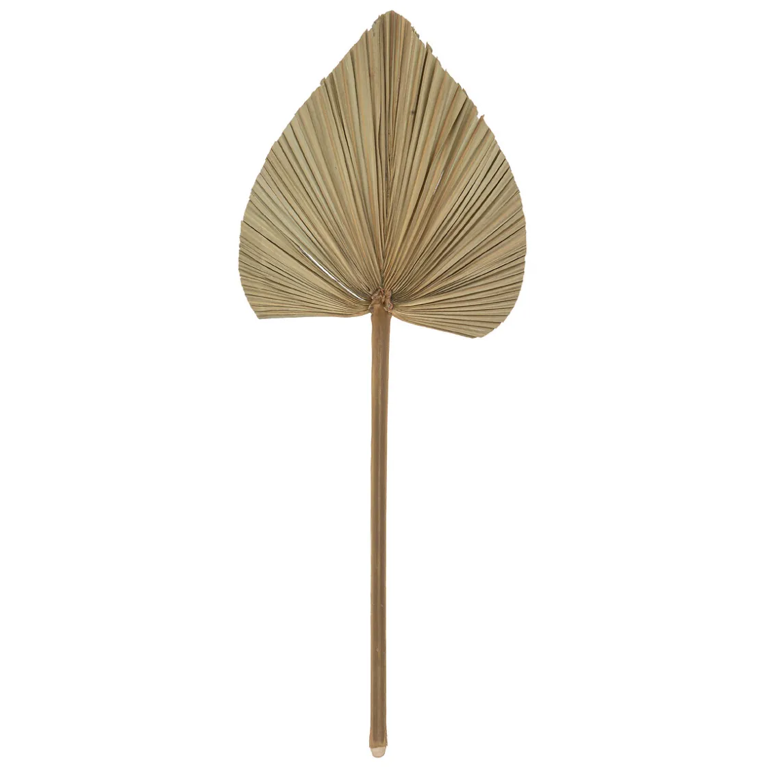 atmosphera Plantas Y Flores Artificiales>Juego De 3 Hojas De Palmera Verdes 70Cm
