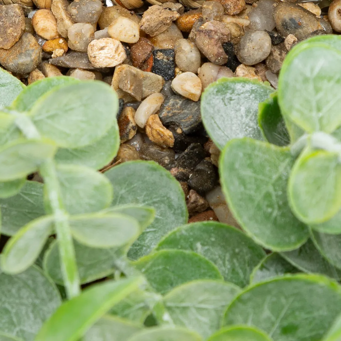 atmosphera Plantas Y Flores Artificiales|Estilo Rústico>Maceta Colgante Con Eucalipto Artificial
