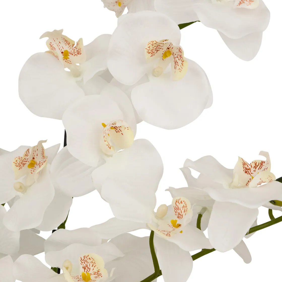 atmosphera Plantas Y Flores Artificiales>Maceta con orquídea artificial MICK blanca 80cm
