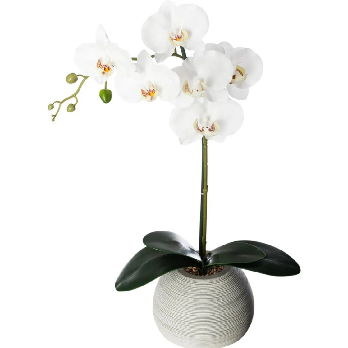 atmosphera Plantas Y Flores Artificiales|Estilo Contemporaneo>Maceta C/Orquídea Artif.30x6x53Cm