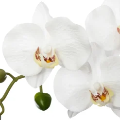 atmosphera Plantas Y Flores Artificiales|Estilo Contemporaneo>Maceta C/Orquídea Artif.30x6x53Cm