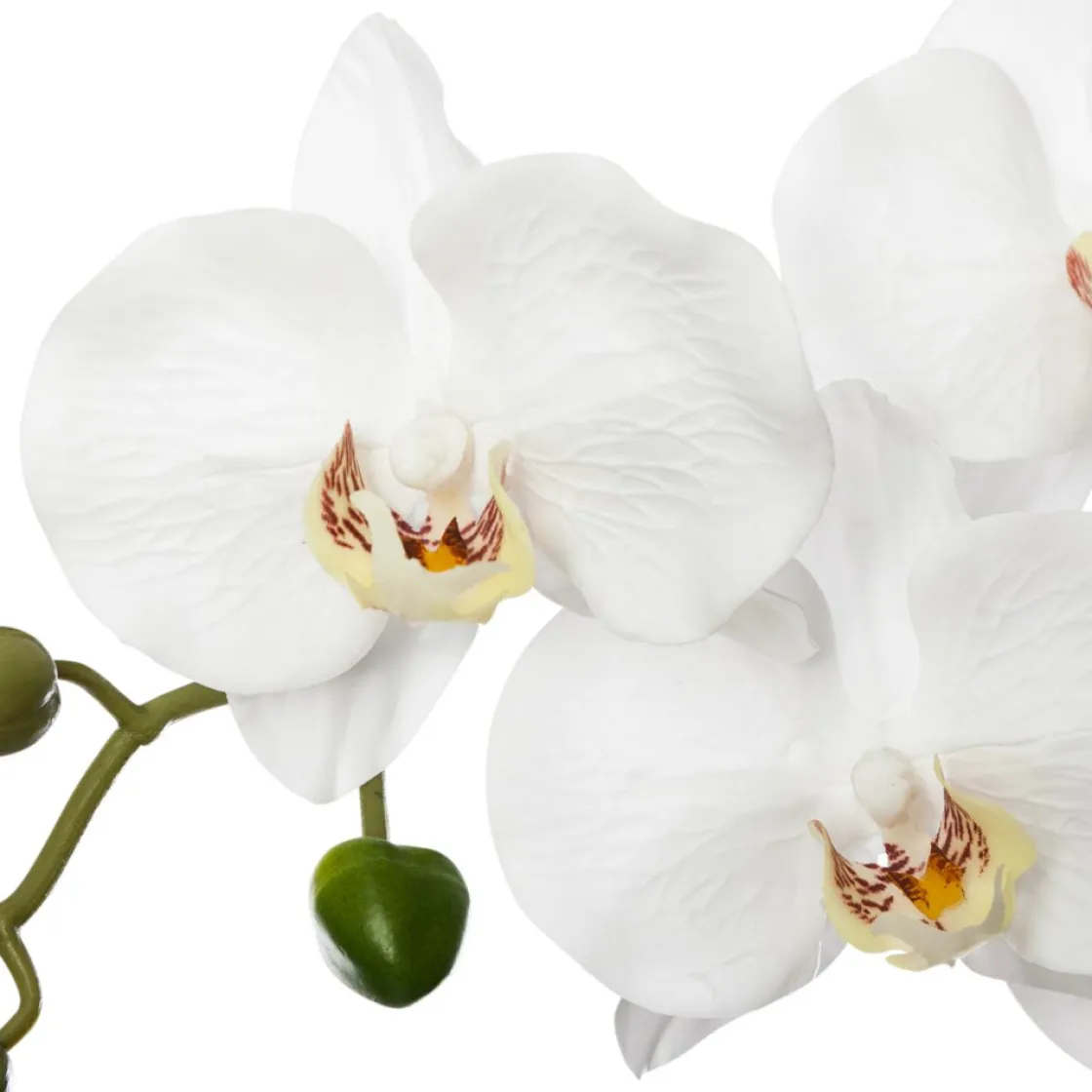 atmosphera Plantas Y Flores Artificiales|Estilo Contemporaneo>Maceta C/Orquídea Artif.30x6x53Cm