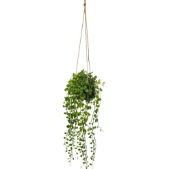 atmosphera Plantas Y Flores Artificiales>Maceta De Cemento Colgante C/Planta