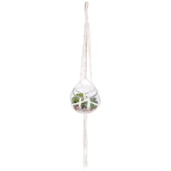 atmosphera Plantas Y Flores Artificiales>Maceta De Vidrio Colgante C/Planta