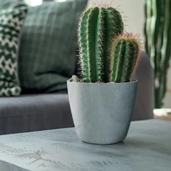 Complementos>Maceta MATE efecto cemento gris 12.7x13.8x13x8cm