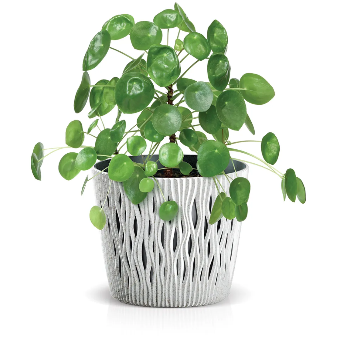 Complementos>Maceta Sandy Round C/Blanco 19x17Cm