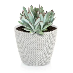 Complementos>Maceta Splofy Eco Wood C/Blanco 22x26Cm