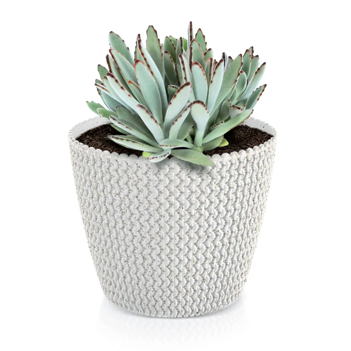 Complementos>Maceta Splofy Eco Wood C/Blanco 22x26Cm