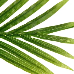atmosphera Plantas Y Flores Artificiales><noscript><img width=