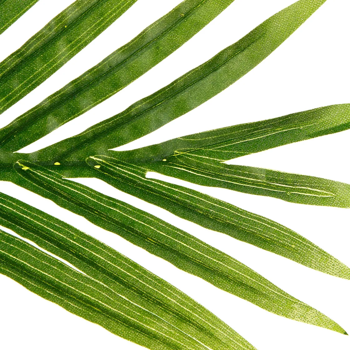 atmosphera Plantas Y Flores Artificiales>Palmera Artif. Con Maceta 170Cm