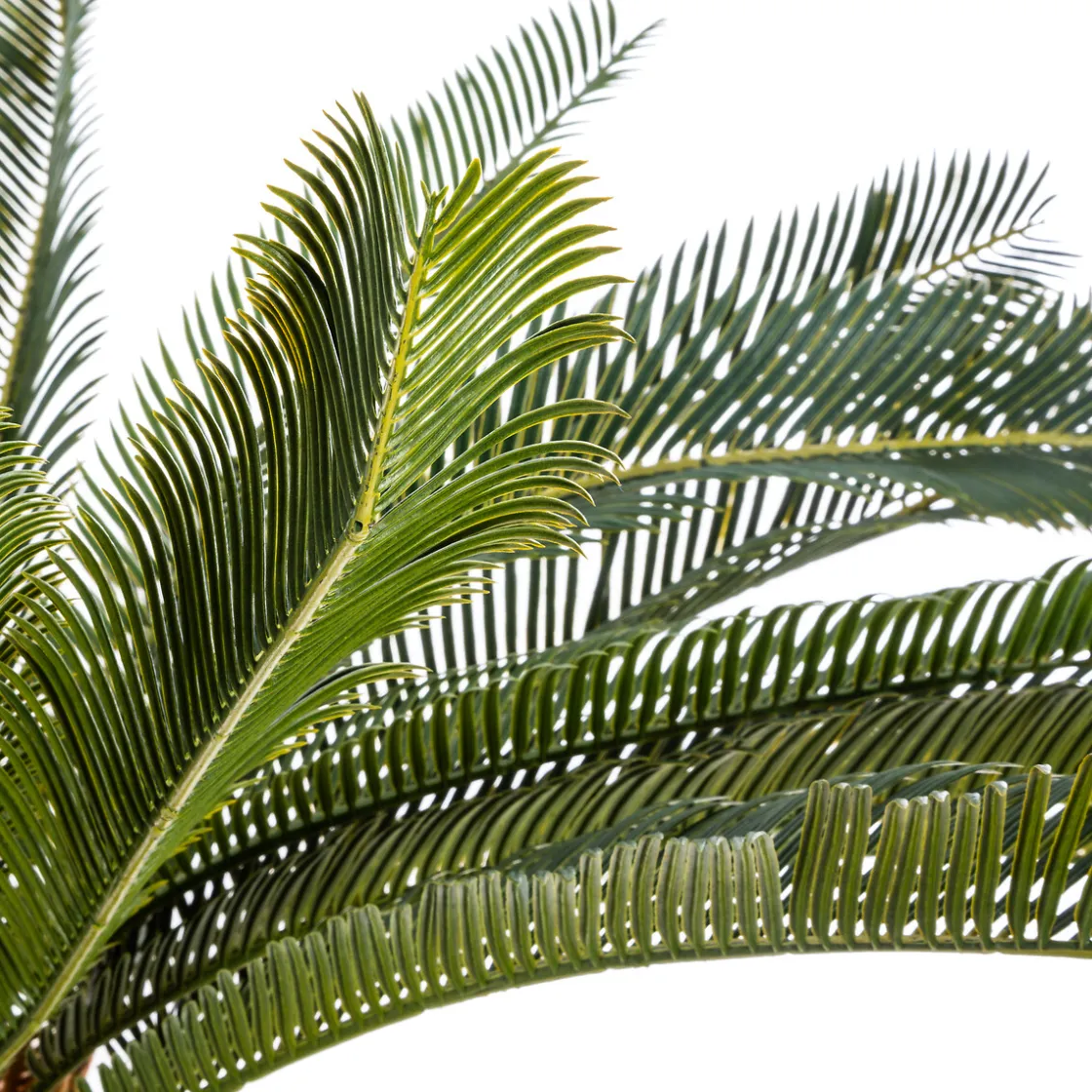 atmosphera Plantas Y Flores Artificiales|Estilo Étnico>Palmera Artificial Con Maceta 72Cm
