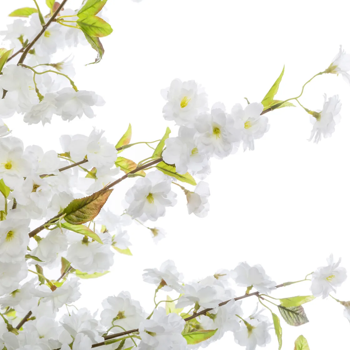 5five Plantas Y Flores Artificiales>Planta De Cerezo Blanco 60x200Cm