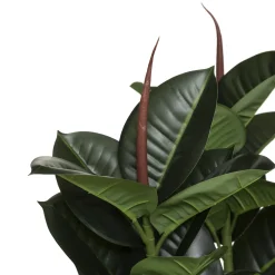 atmosphera Plantas Y Flores Artificiales|Estilo Étnico>Planta Ficus Verde Oscuro 120Cm