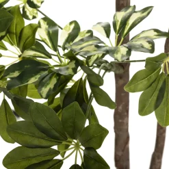 atmosphera Plantas Y Flores Artificiales>Planta Schefflera Con Maceta 130Cm