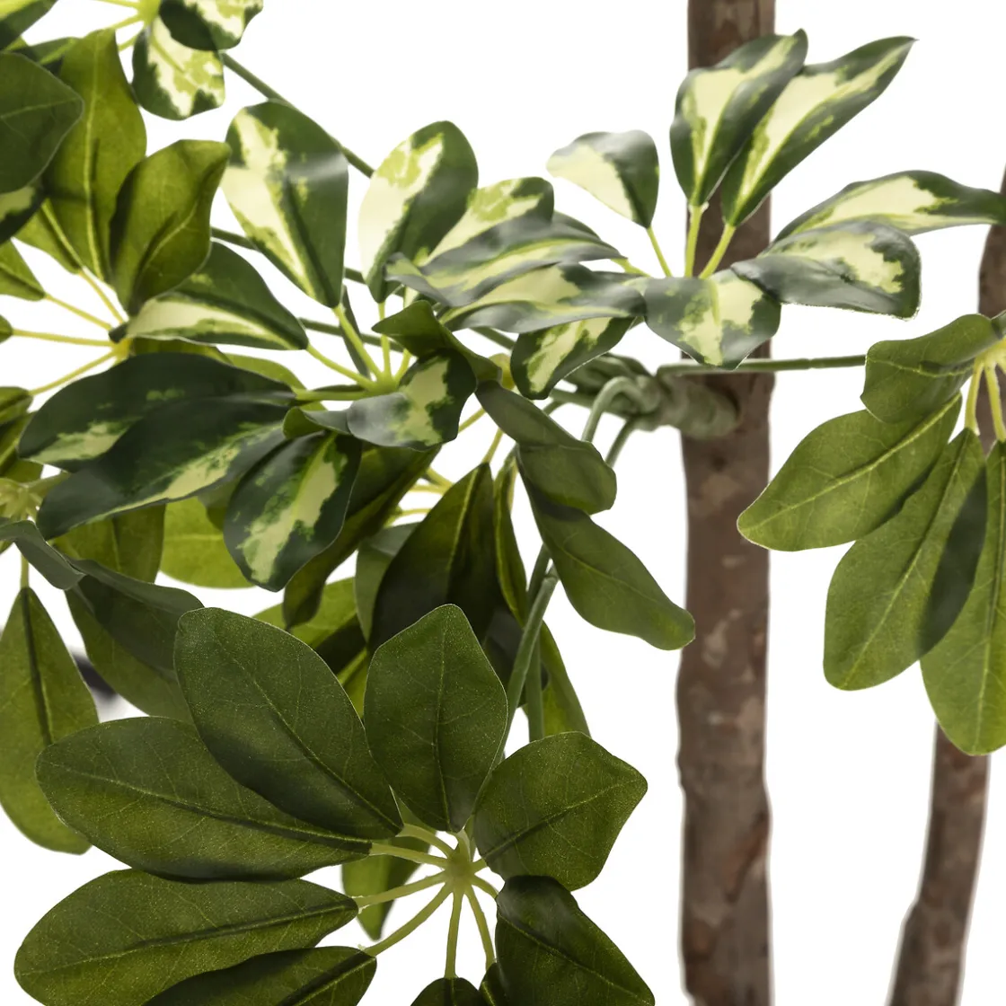 atmosphera Plantas Y Flores Artificiales>Planta Schefflera Con Maceta 130Cm