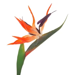 atmosphera Plantas Y Flores Artificiales>Rama De Strelitzia Artificial 83Cm