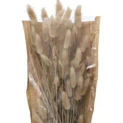 atmosphera Plantas Y Flores Artificiales|Estilo Étnico>Ramo De Flores Secas Ori 18x58Cm