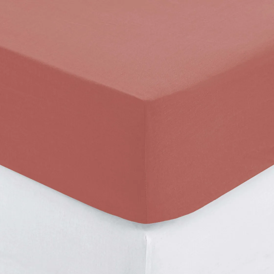 atmosphera Sábanas Y Protectores>Sábana Bajera Ajustable Blush 160x200Cm