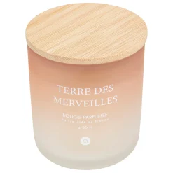 atmosphera Velas>Vela perfumada Terre des Merveilles SANA 255g